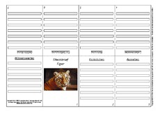 Faltbuch-Steckbrief-Tiger-1.pdf